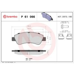 P 61 066